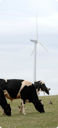 kirkan wind farm